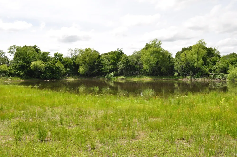 1849 Two Bush Road Perrin, TX 76486