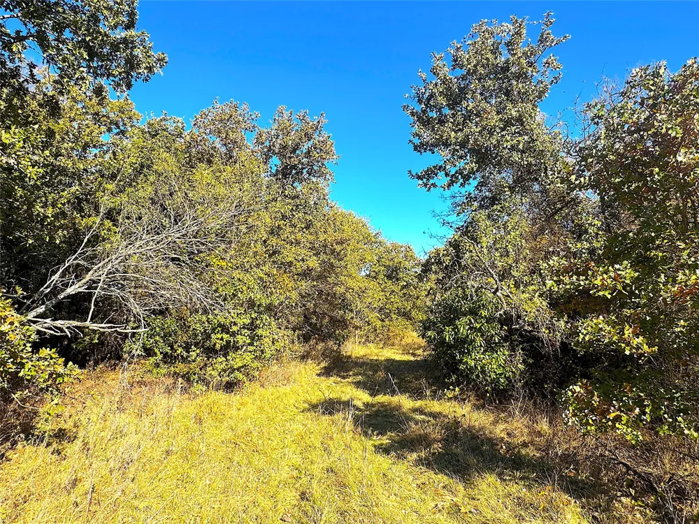 1849 Two Bush Road Perrin, TX 76486