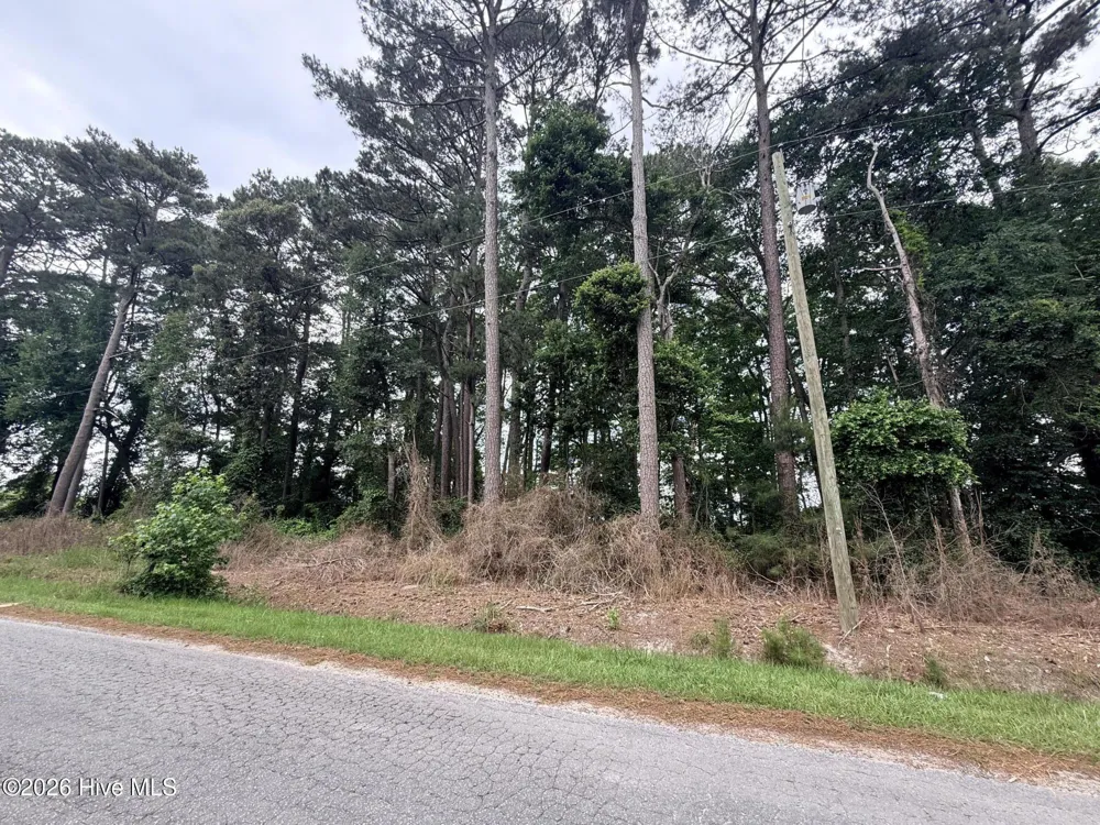 0 Idlewild Drive Greenville, NC 27834