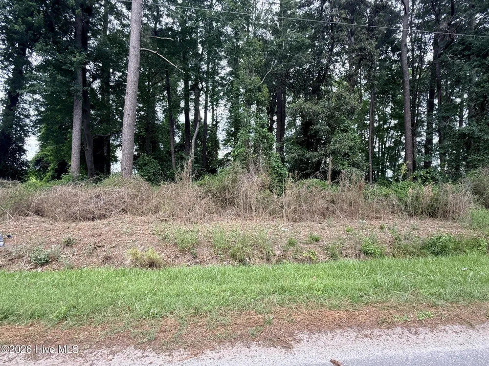 0 Idlewild Drive Greenville, NC 27834