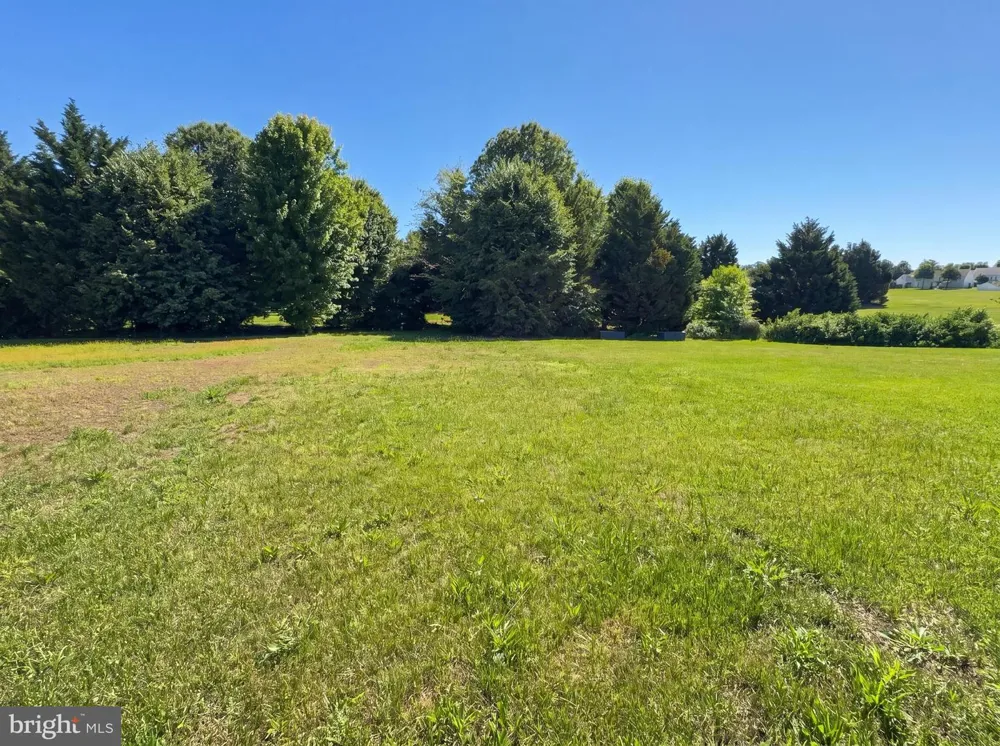 176 BELLFLOWER LANE Magnolia, DE 19962
