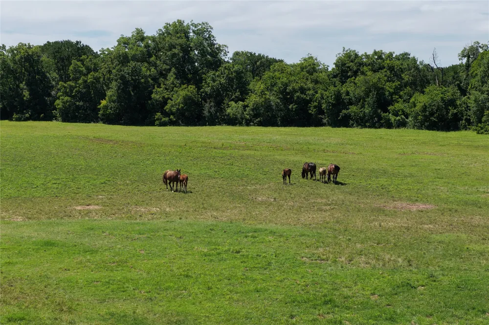 3900 County Road 304a Comanche, TX 76442