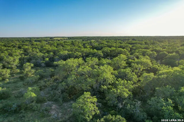 TBD CR 426 Pleasanton, TX 78064