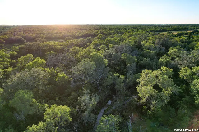 TBD CR 426 Pleasanton, TX 78064