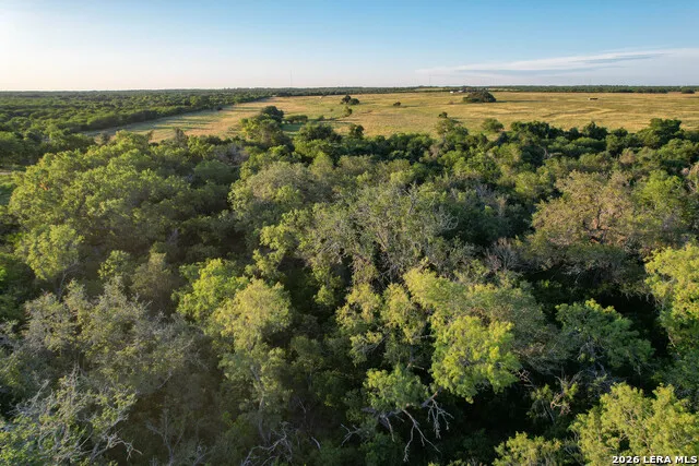 TBD CR 426 Pleasanton, TX 78064