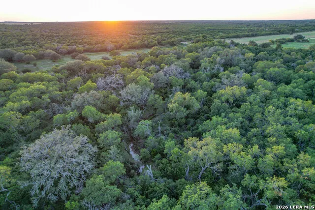 TBD CR 426 Pleasanton, TX 78064