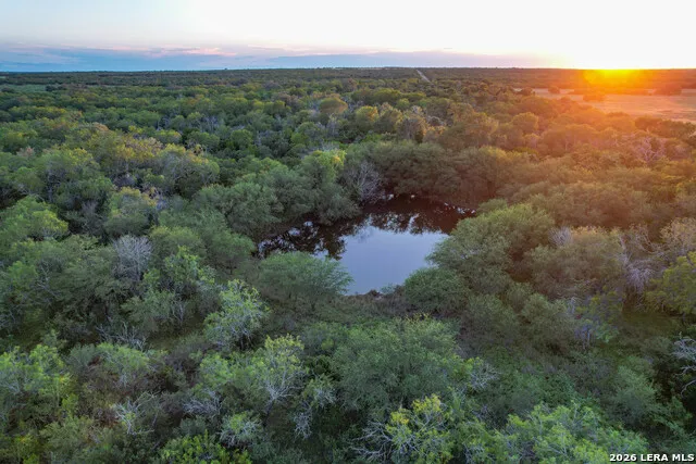TBD CR 426 Pleasanton, TX 78064