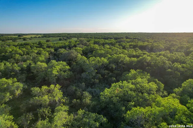 TBD CR 426 Pleasanton, TX 78064