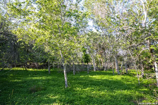 TBD CR 426 Pleasanton, TX 78064