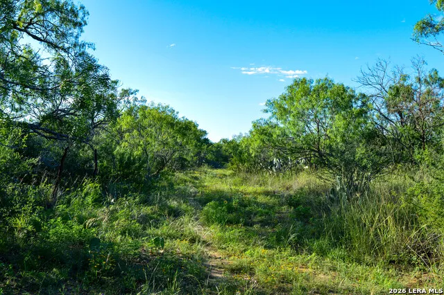 TBD CR 426 Pleasanton, TX 78064