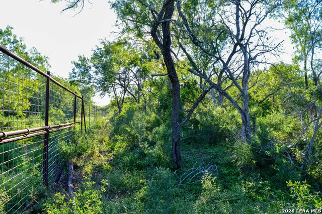 TBD CR 426 Pleasanton, TX 78064