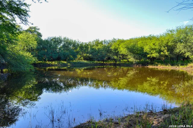 TBD CR 426 Pleasanton, TX 78064