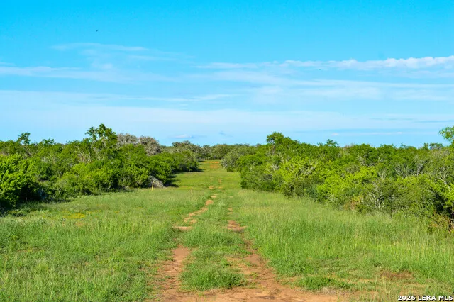 TBD CR 426 Pleasanton, TX 78064