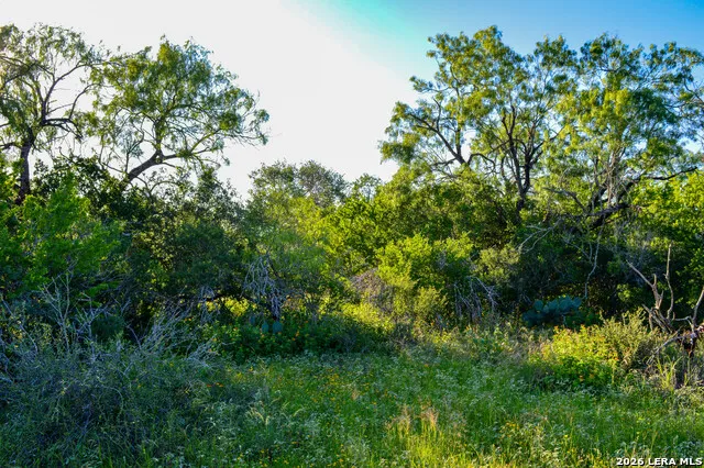 TBD CR 426 Pleasanton, TX 78064