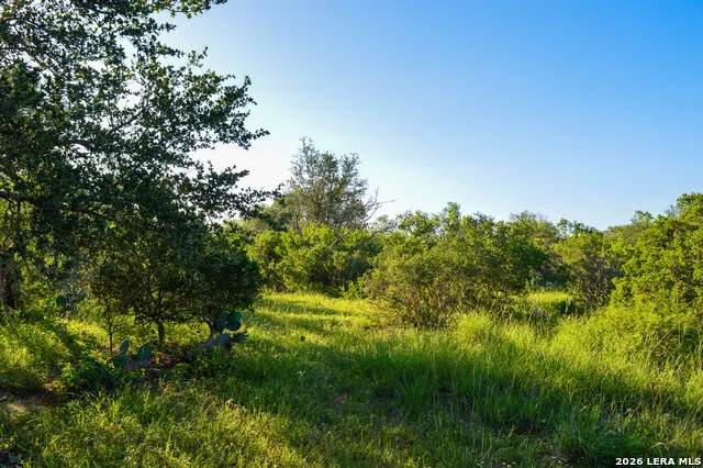 TBD CR 426 Pleasanton, TX 78064