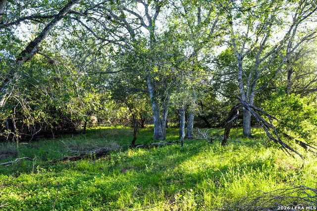 TBD CR 426 Pleasanton, TX 78064