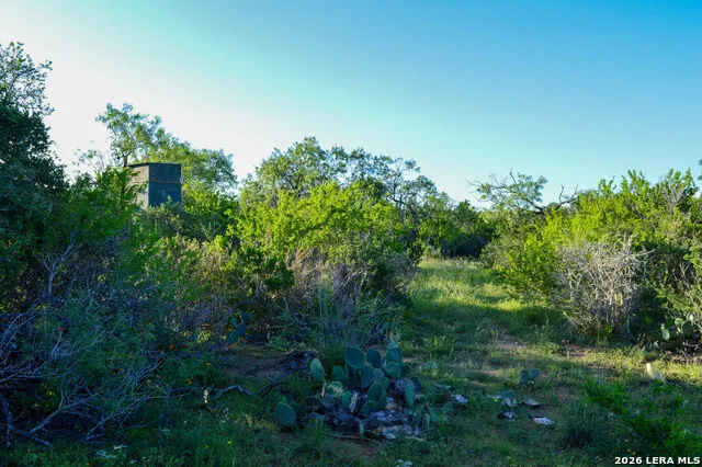 TBD CR 426 Pleasanton, TX 78064