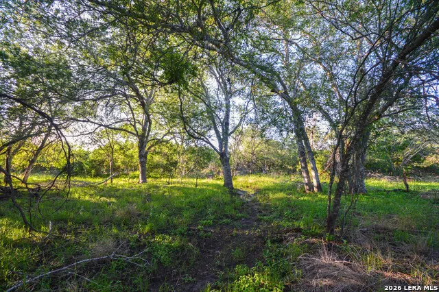 TBD CR 426 Pleasanton, TX 78064
