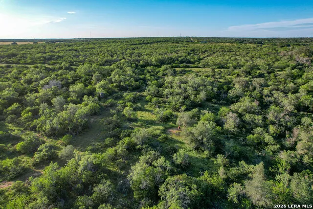 TBD CR 426 Pleasanton, TX 78064
