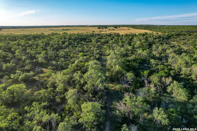 TBD CR 426 Pleasanton, TX 78064