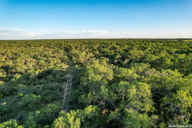 TBD CR 426 Pleasanton, TX 78064
