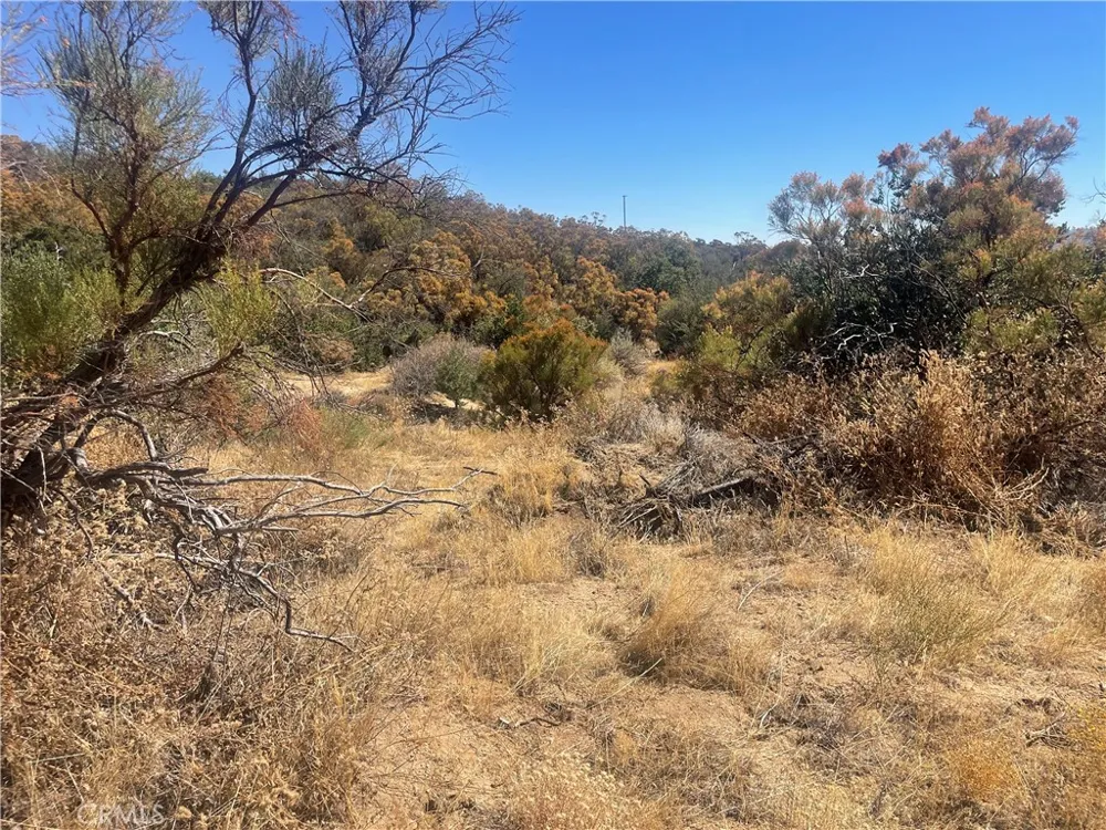 56768 Dickson Hills Road Anza, CA 92539