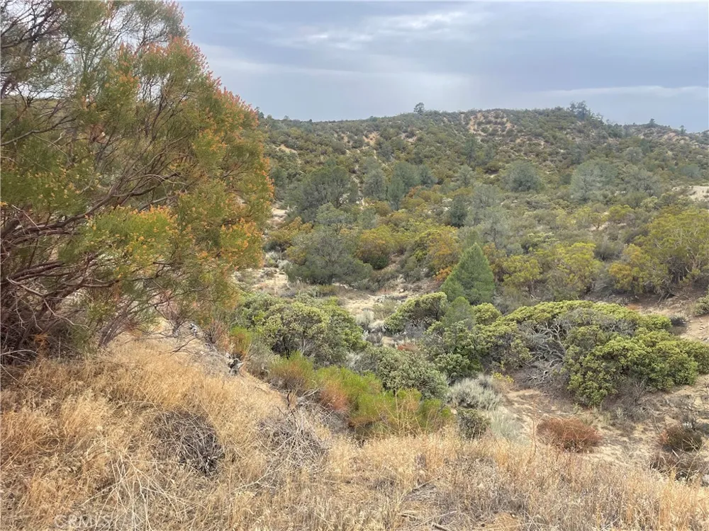 56768 Dickson Hills Road Anza, CA 92539