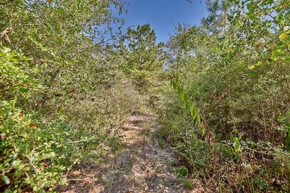 28850 Riley Road Waller, TX 77484