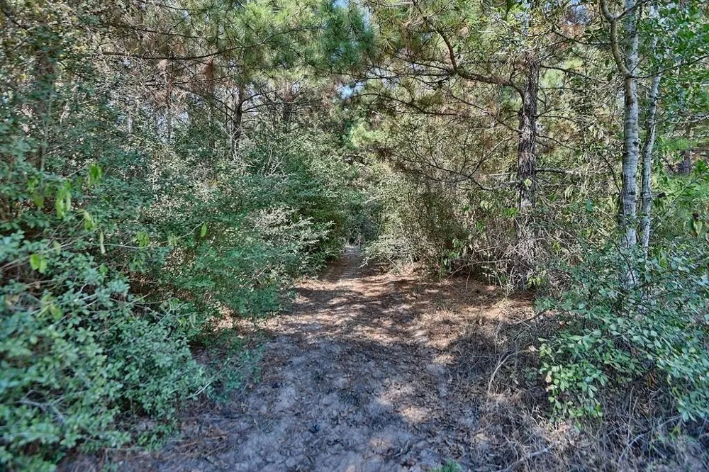 28850 Riley Road Waller, TX 77484