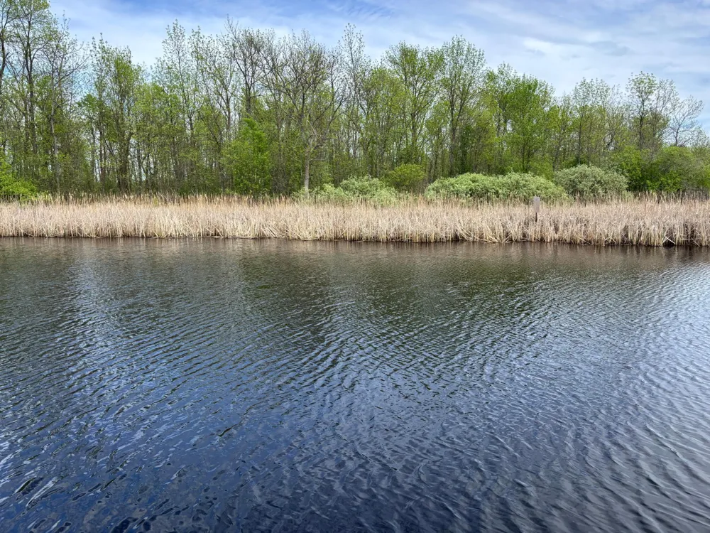 54654 Highway 72 NE Waskish, MN 56685