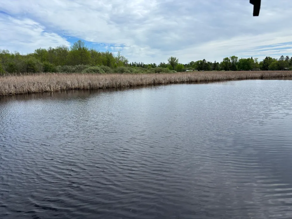 54654 Highway 72 NE Waskish, MN 56685