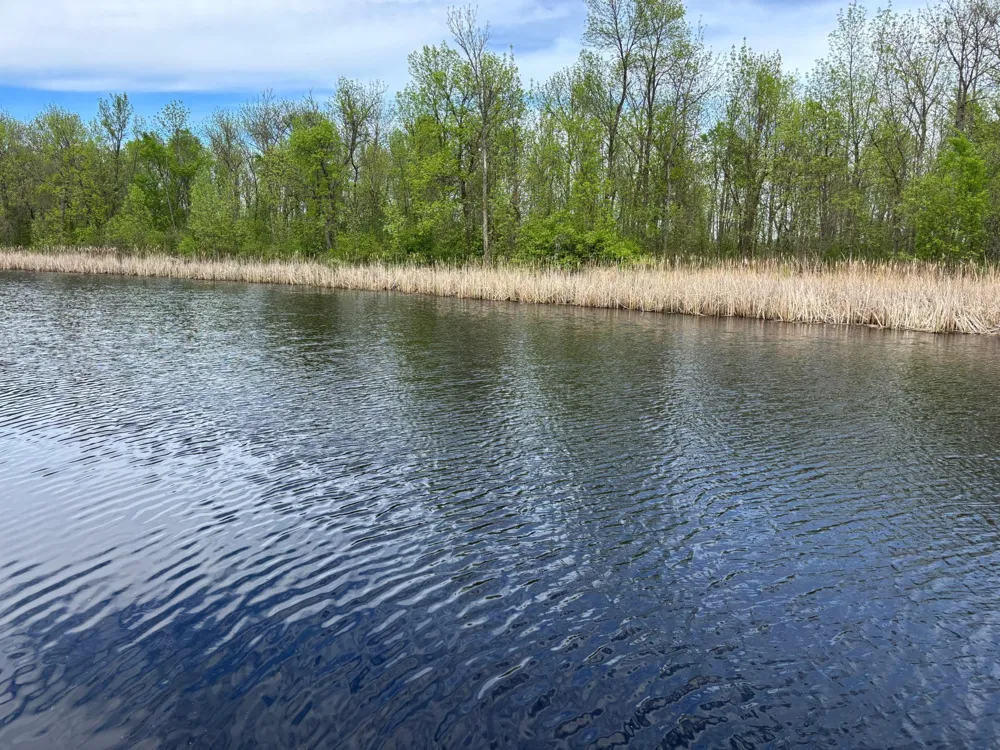 54654 Highway 72 NE Waskish, MN 56685