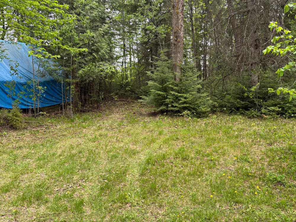 54654 Highway 72 NE Waskish, MN 56685