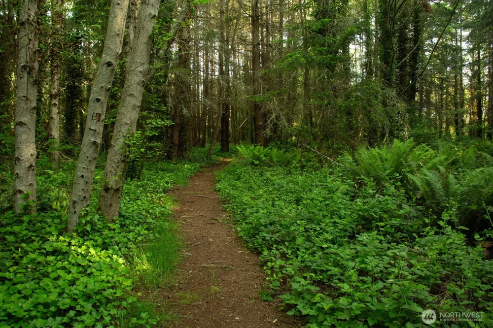 0 Madison Avenue Bainbridge Island, WA 98110