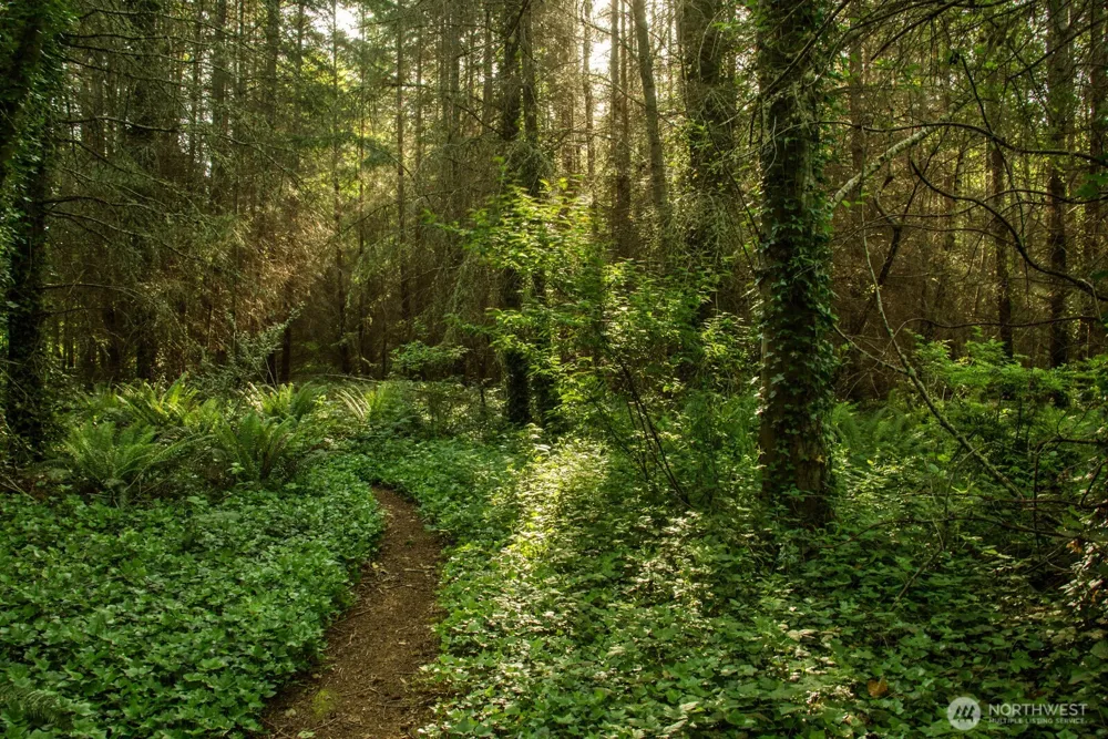0 Madison Avenue Bainbridge Island, WA 98110