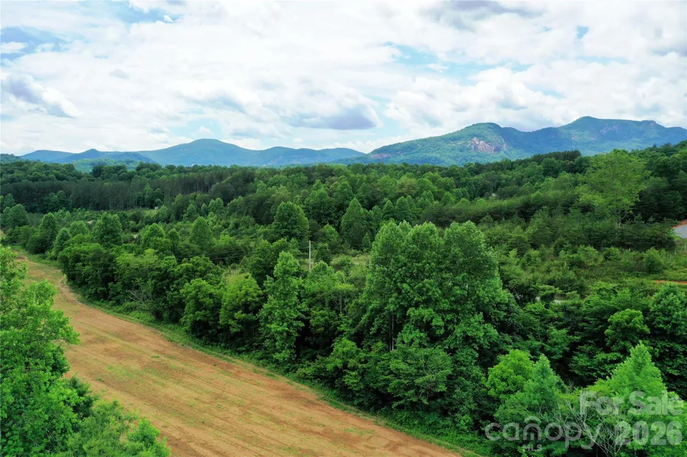 00 Herman Wilson Road Lake Lure, NC 28746