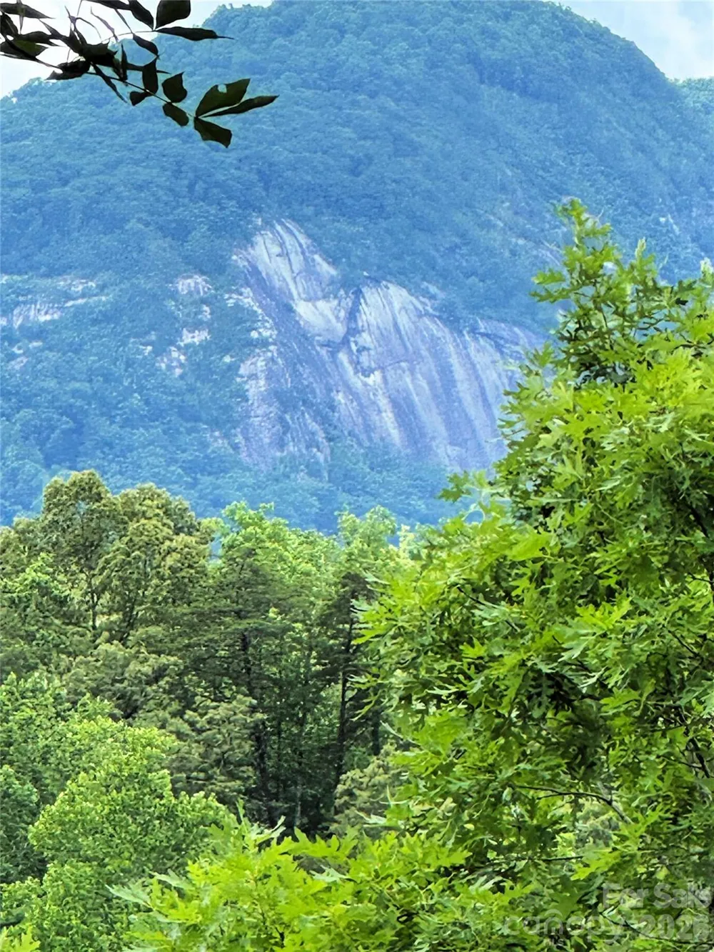 00 Herman Wilson Road Lake Lure, NC 28746