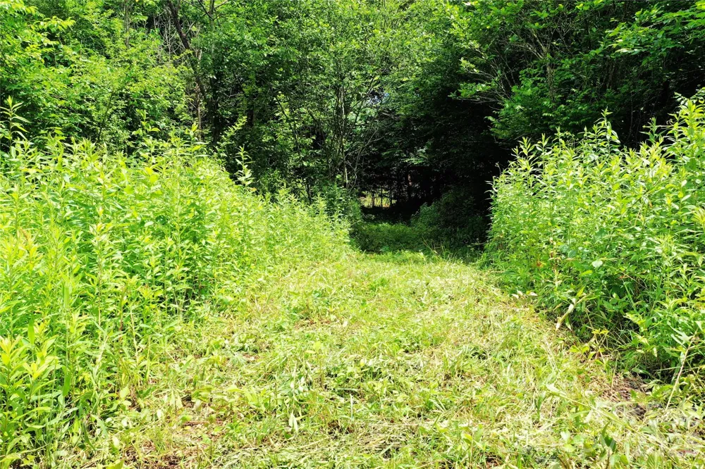 00 Herman Wilson Road Lake Lure, NC 28746