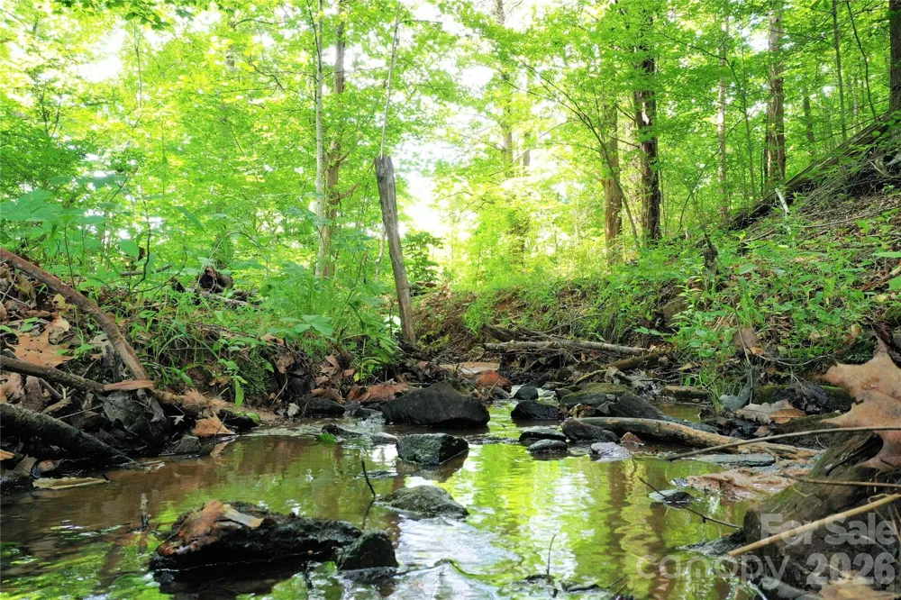 00 Herman Wilson Road Lake Lure, NC 28746