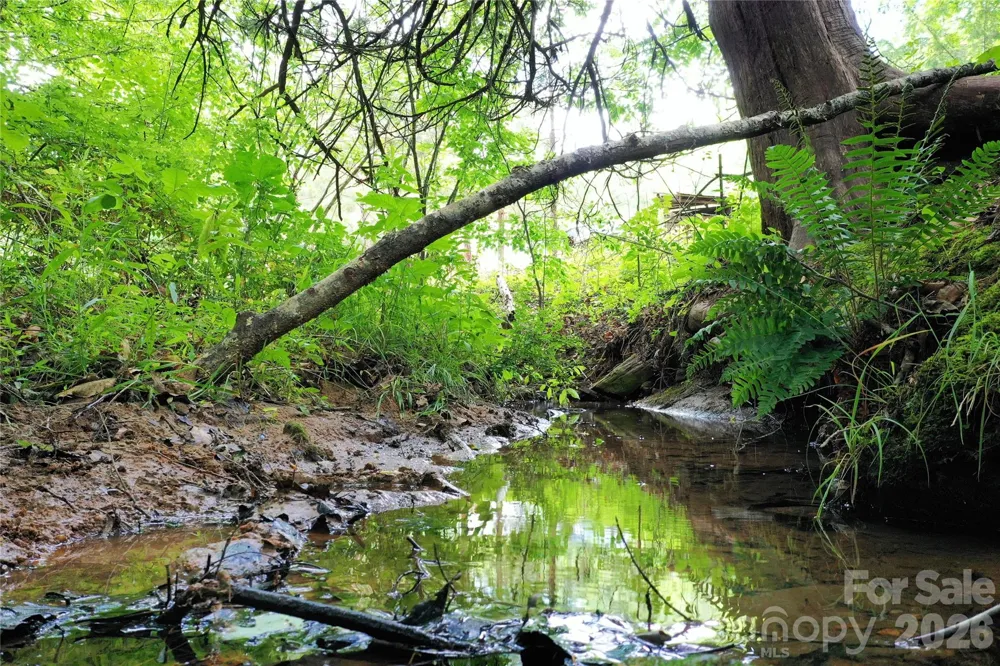 00 Herman Wilson Road Lake Lure, NC 28746