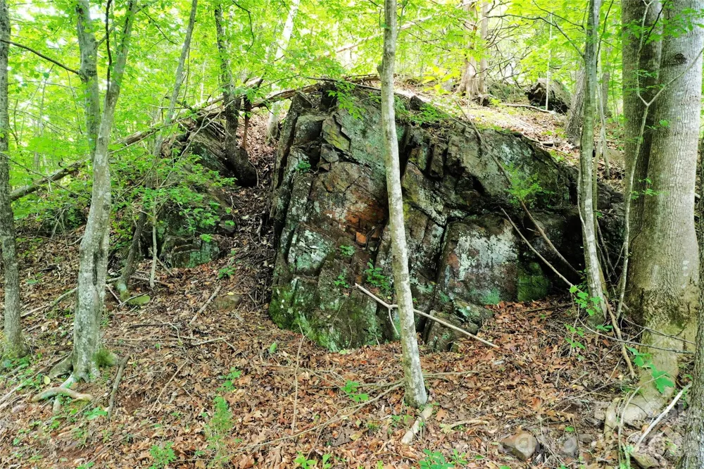 00 Herman Wilson Road Lake Lure, NC 28746