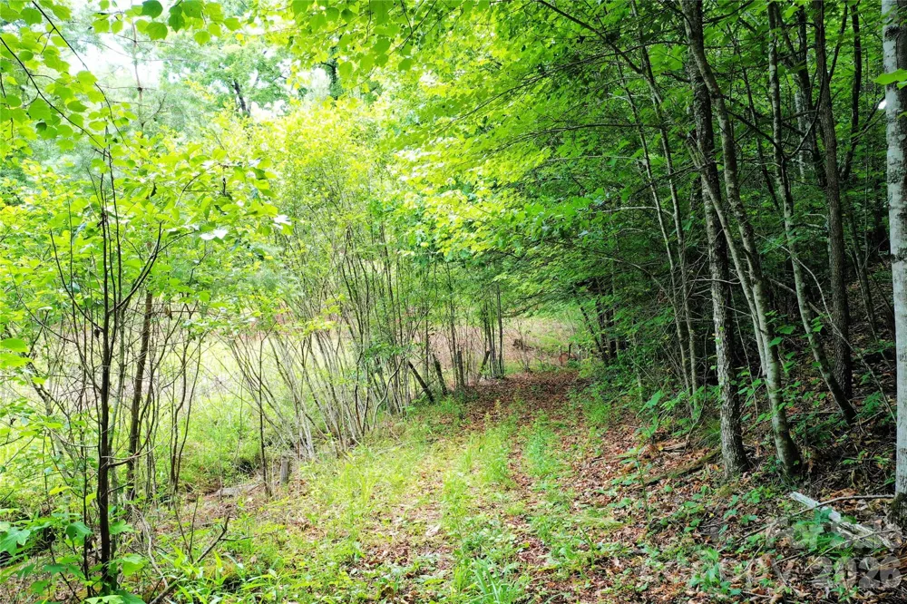 00 Herman Wilson Road Lake Lure, NC 28746
