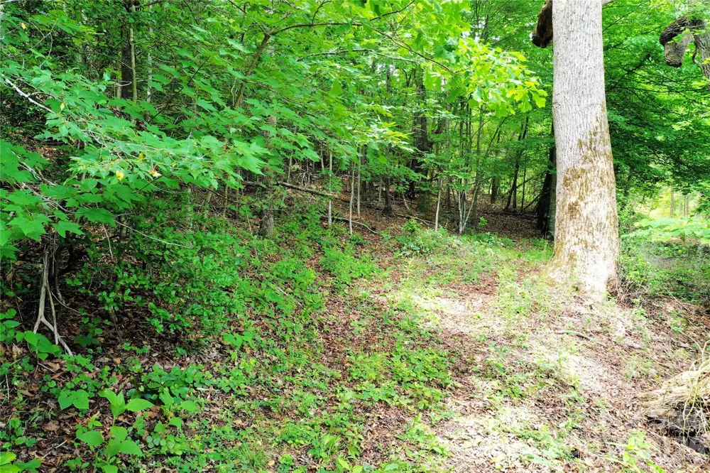 00 Herman Wilson Road Lake Lure, NC 28746