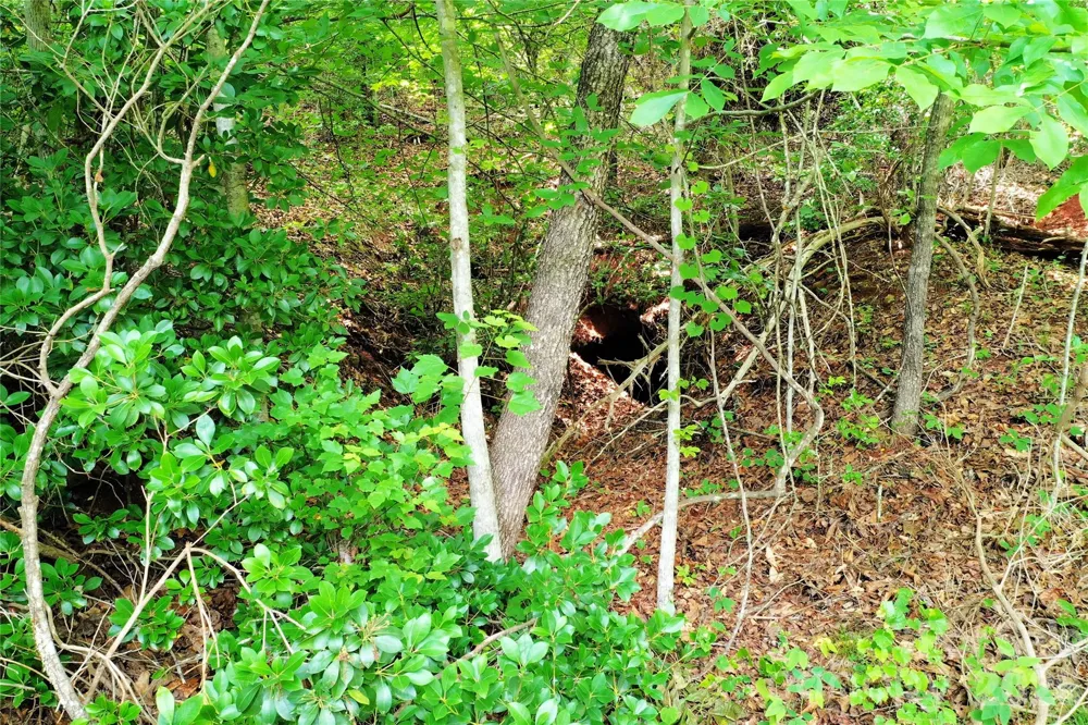00 Herman Wilson Road Lake Lure, NC 28746