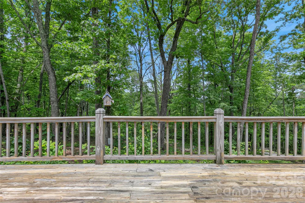 154 Chestnut Lane Cedar Mountain, NC 28718