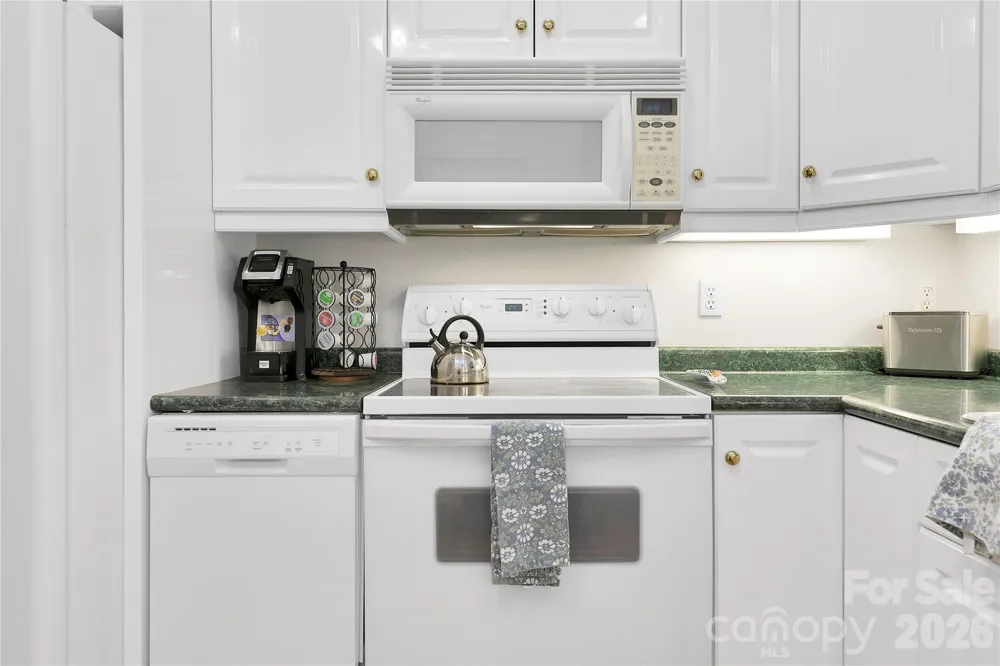 154 Chestnut Lane Cedar Mountain, NC 28718