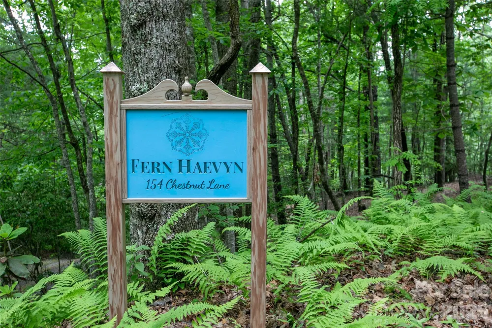 154 Chestnut Lane Cedar Mountain, NC 28718