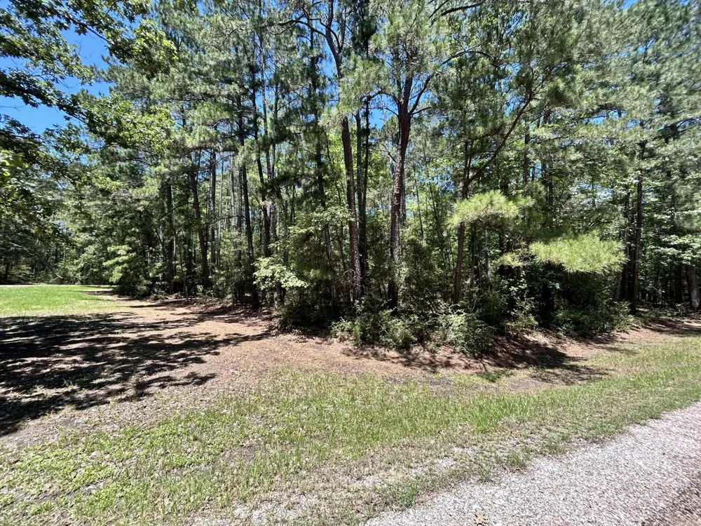 BH Caroll Street Trinity, TX 75862