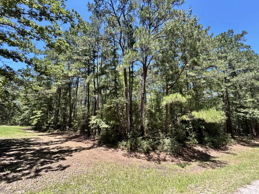 BH Caroll Street Trinity, TX 75862