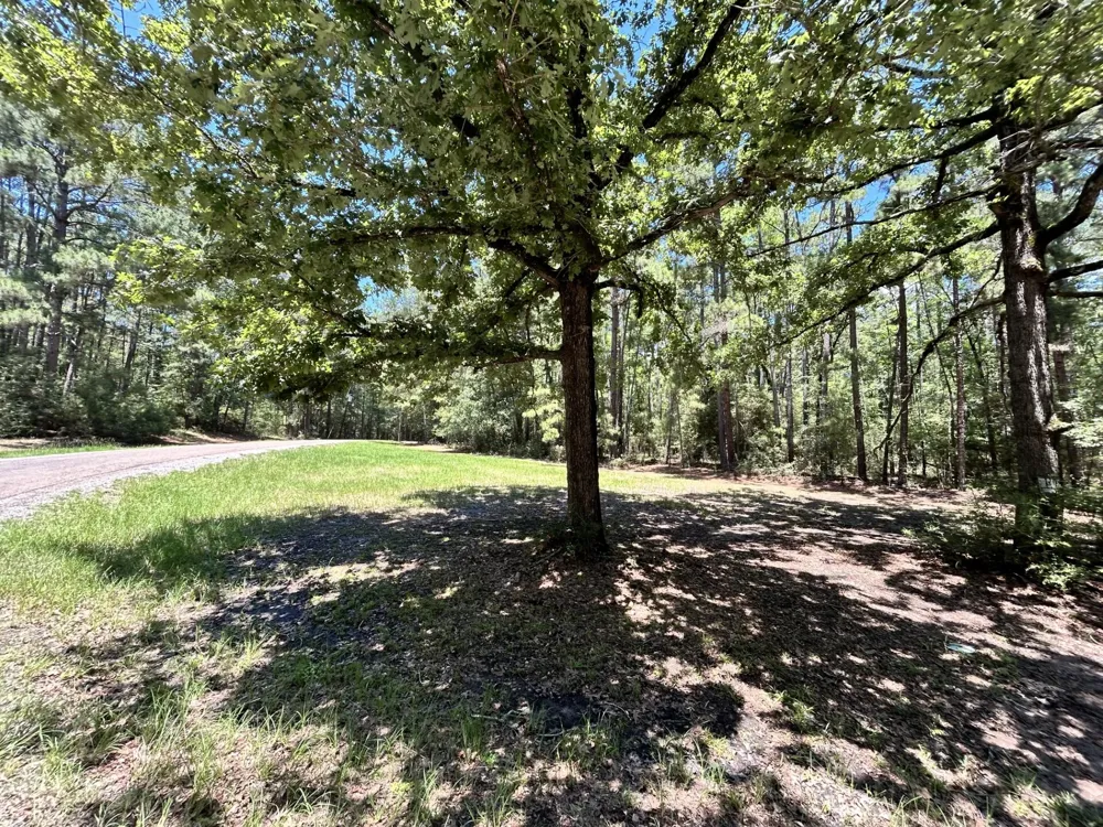 BH Caroll Street Trinity, TX 75862